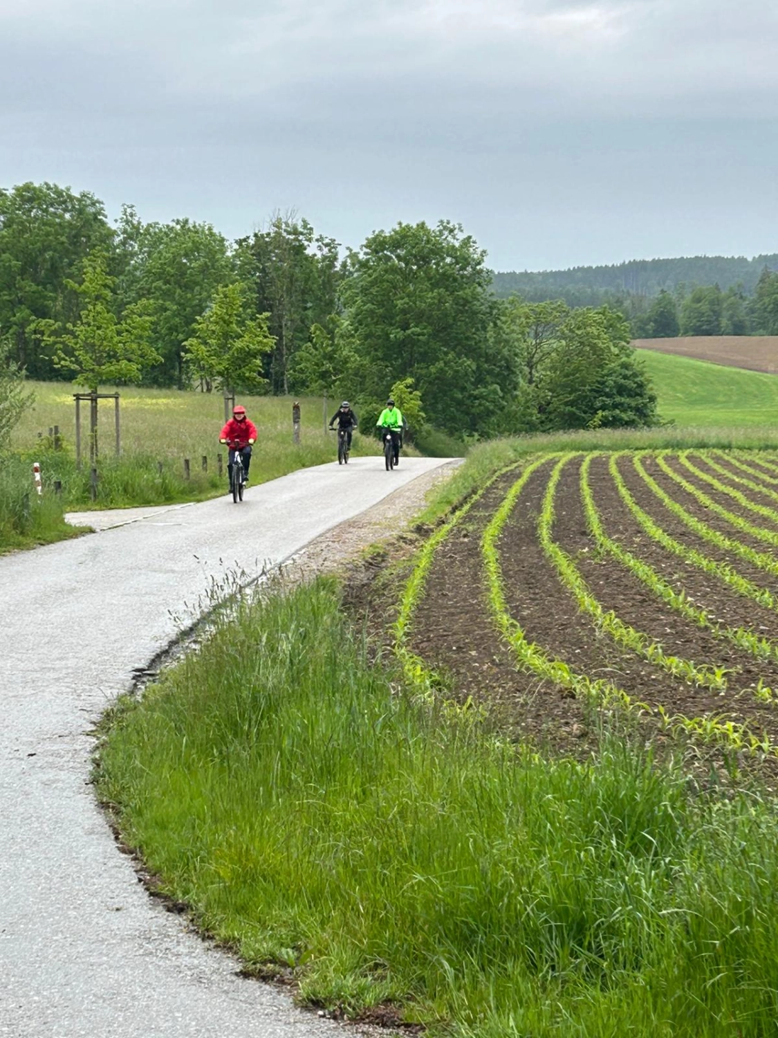 Sportbereich von TSV Moosach e.V.  